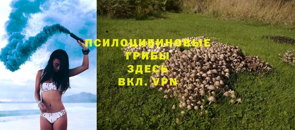 гидра Покровск