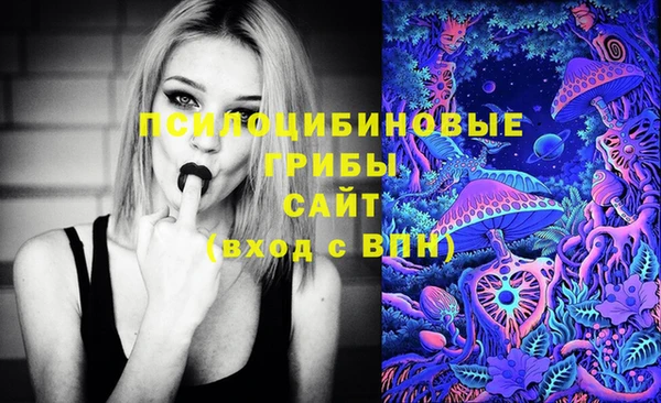 героин Покачи