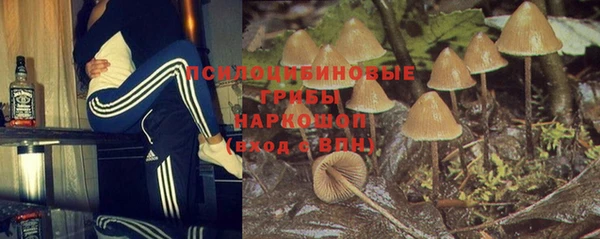 спиды Кодинск