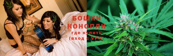гидра Покровск
