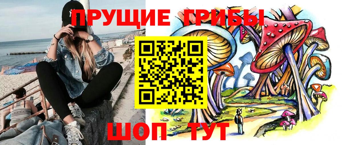 Галлюциногенные грибы Cubensis  Лыткарино  Галлюциногенные грибы GOLDEN TEACHER 