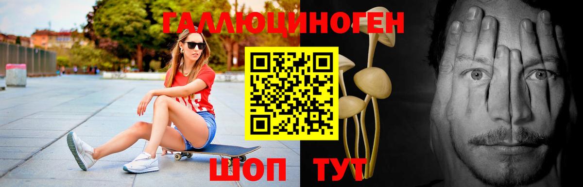 Лыткарино  где купить наркотик  Вход с VPN  Псилоцибиновые грибы прущие грибы 
