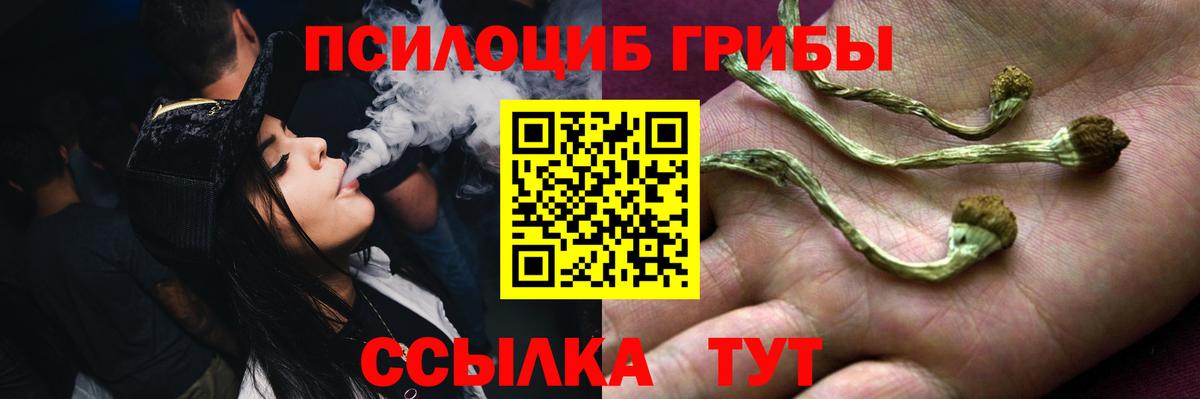 Галлюциногенные грибы Psilocybine cubensis Лыткарино